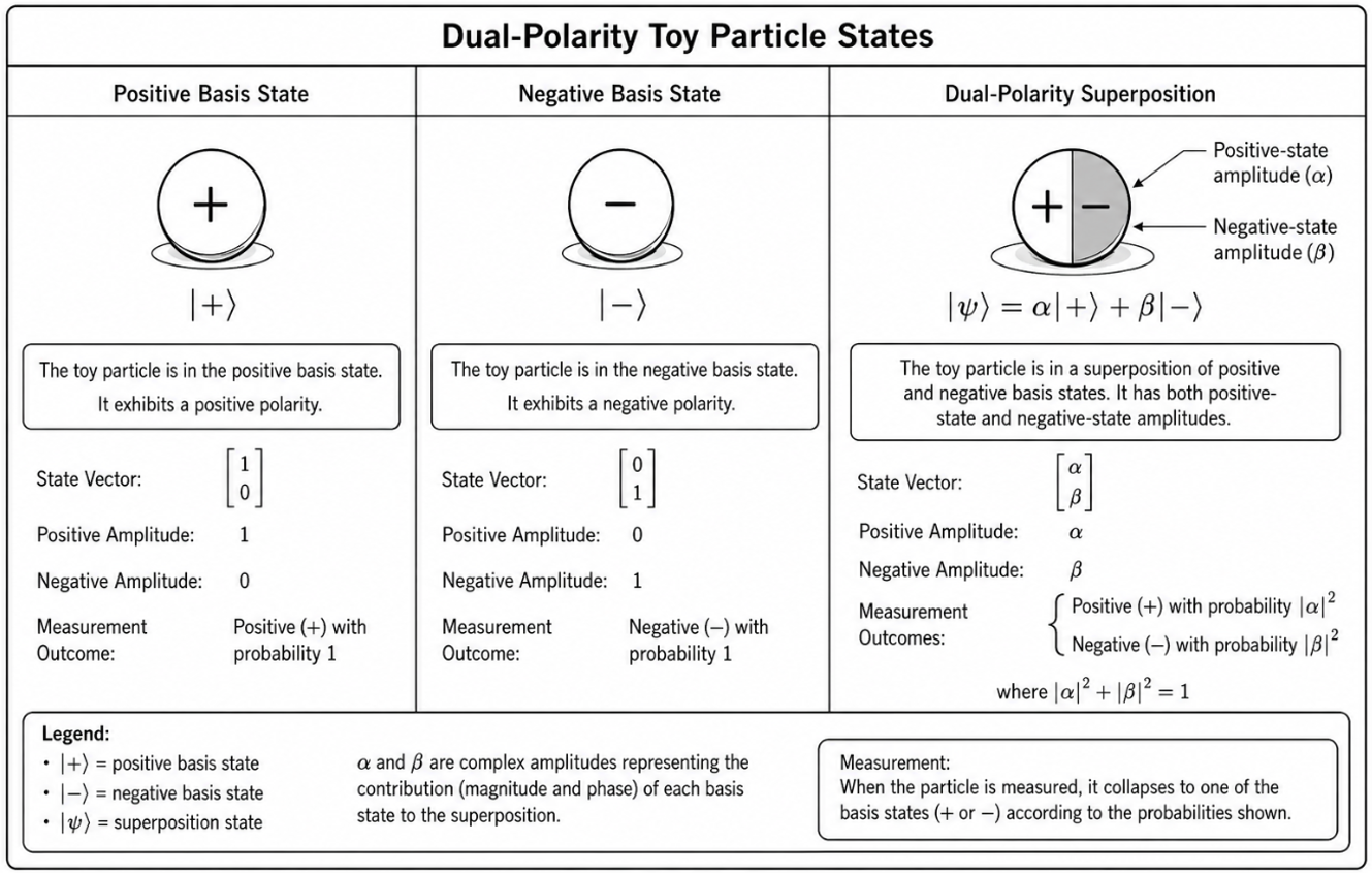Application-derived diagram comparing positive, negative, and dual-polarity toy particle states